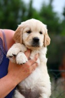 /album/fotogalerie/alex-profil-jpg/